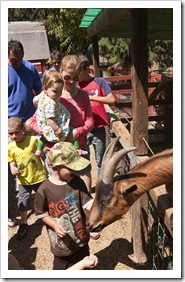 Enjoying the petting zoo at Train Town