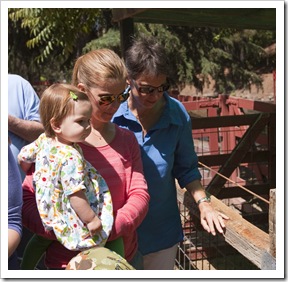 Enjoying the petting zoo at Train Town