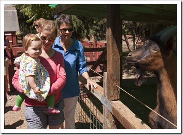 Enjoying the petting zoo at Train Town