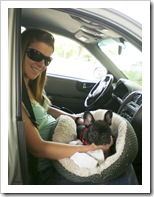 Going to the dog park