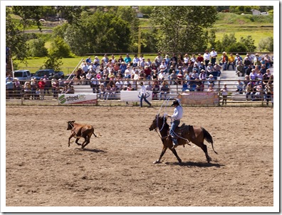 The rodeo in Belt