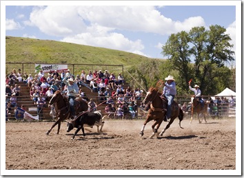 The rodeo in Belt
