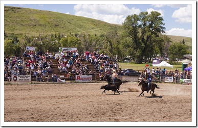 The rodeo in Belt