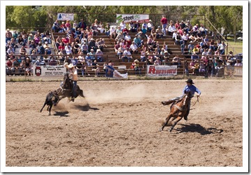 The rodeo in Belt