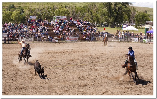 The rodeo in Belt