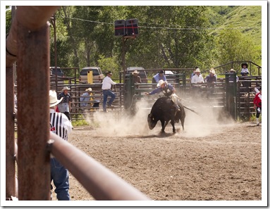 The rodeo in Belt