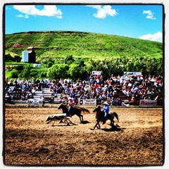 The rodeo in Belt