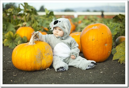 Lilia at the pumpkin patch