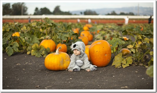 Lilia at the pumpkin patch