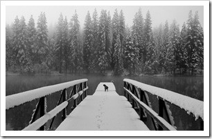 Ellie on the pier at Lakemont Pines
