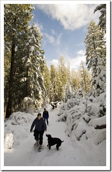 Carol, Lisa and Ellie snowshoeing along the Arnold Rim Trail