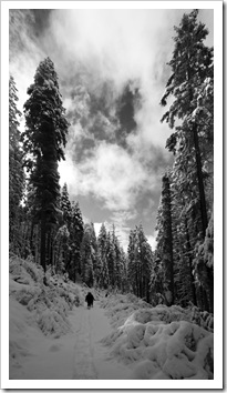 Carol and Lisa snowshoeing along the Arnold Rim Trail