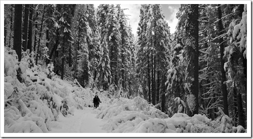 Carol and Lisa snowshoeing along the Arnold Rim Trail