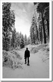 Lisa snowshoeing along the Arnold Rim Trail