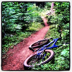 Arnold singletrack
