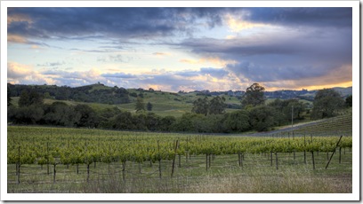 Bennett Valley sunset