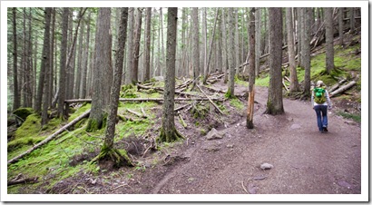 Lisa hiking to Avalanche Lake