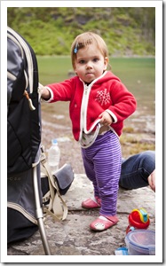 Lunch stop at picturesque Avalanche Lake