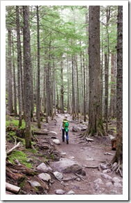 Lisa on the way down from Avalanche Lake