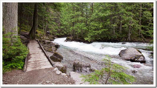 The torrent out of Avalanche Lake