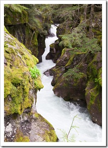 The torrent out of Avalanche Lake