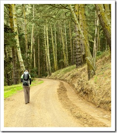 Sam and Lilia walking through the trees on the way down to Kirby Cove