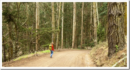 Lisa walking through the trees on the way down to Kirby Cove