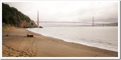 View of the Golden Gate Bridge from Kirby Cove