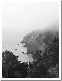 View of Kirby Cove from the trail back to the car