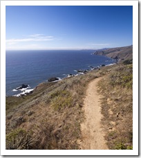 Looking north toward Bolinas from the Owl Trail