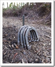 Plenty of games of horseshoe