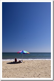 New Brighton State Beach