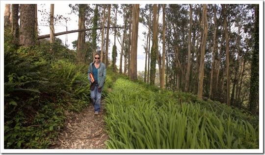Lisa hiking the Morning Sun Trail in the Marin Headlands