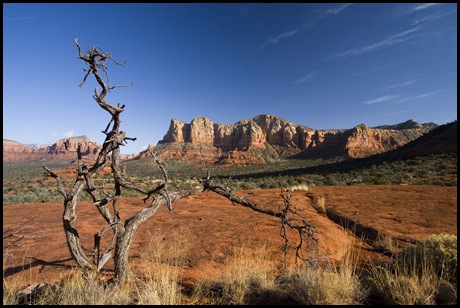 Bell Rock and Courthouse Butte