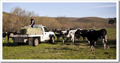 Jarrid taking care of his girls