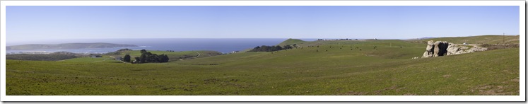 Elephant Rock and Tomales Point