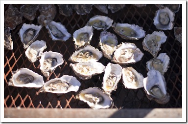 Superbowl Oysters