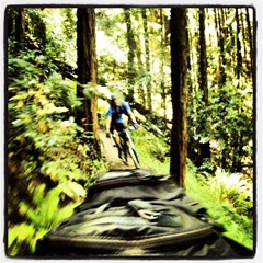 Kevin rolling down Tenderfoot