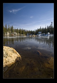 Thanksgiving Weekend