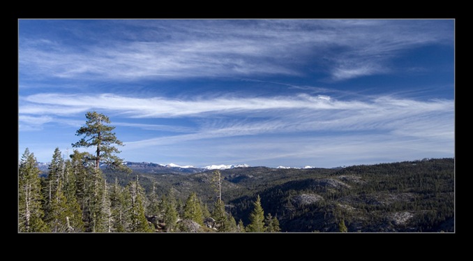 Thanksgiving Weekend