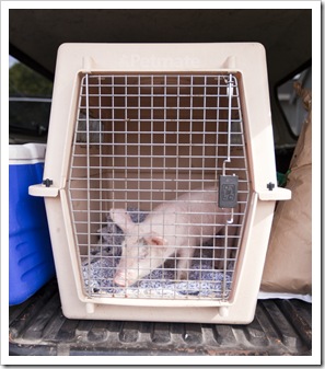 Ready to go in the back of the Tacoma