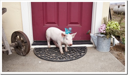 This could be a postcard