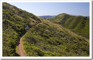 The SCA Trail