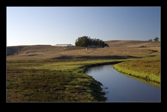 Estero and the Ranch