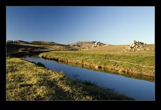 Estero and the Ranch