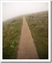 The trail through the fog to Tomales Point