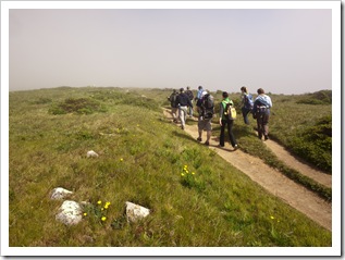 The trail to Tomales Point