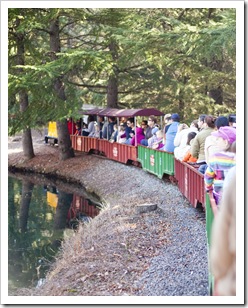 On the train at Traintown