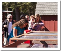 A stop at the petting zoo along the way