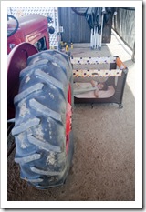 We're lucky that she'll sleep anywhere!